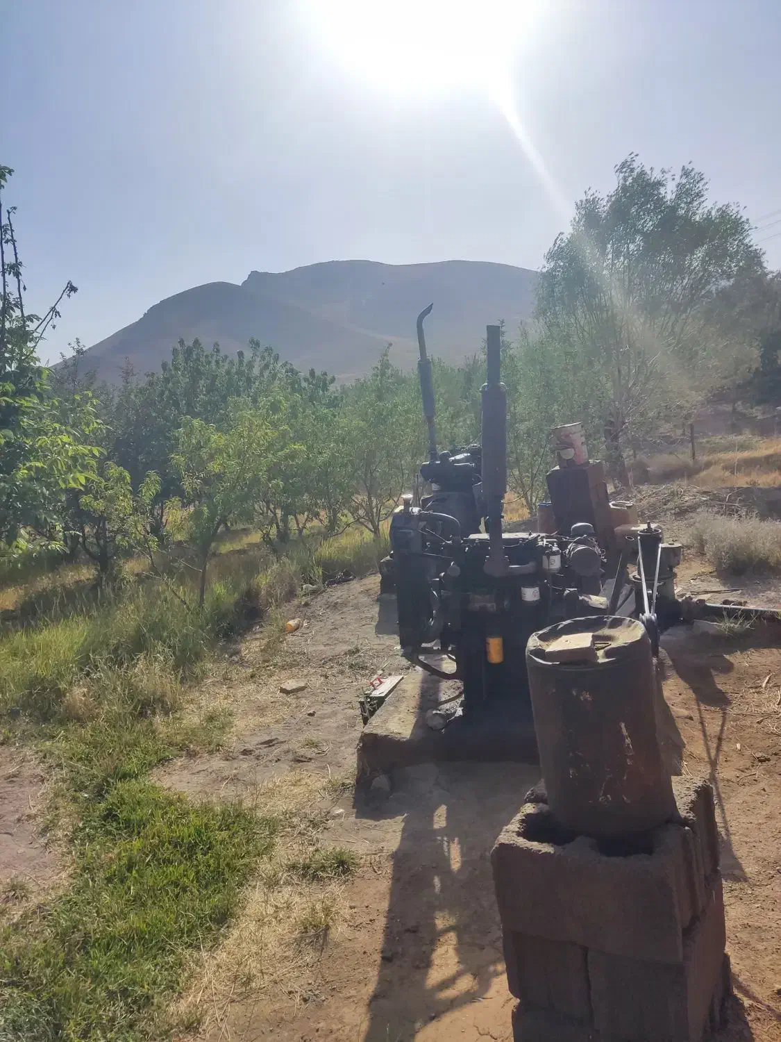 زمین باغچه  و باغ و کشاورزی|فروش دفتر صنعتی، کشاورزی، تجاری|بروجن, |دیوار