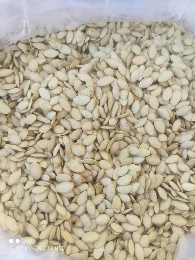 تخمه کدو و آفتابگردان|خوردنی و آشامیدنی|تهران, جوادیه تهرانپارس|دیوار