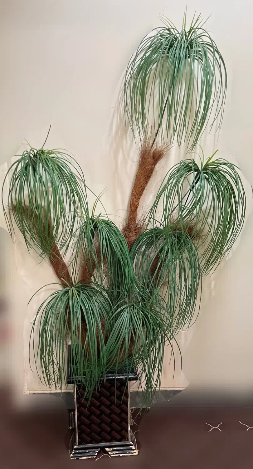 درخت نخل مصنوعی سفارشی VIP|گل مصنوعی|شیراز, فرگاز|دیوار