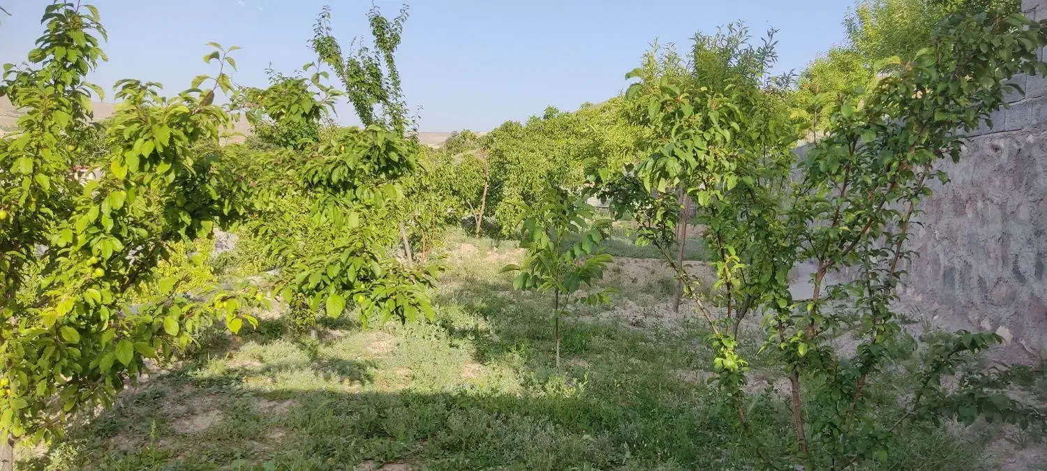 باغ ۷۳۰ متر در اسکو اسفنجان|فروش خانه و ویلا|اسکو, |دیوار