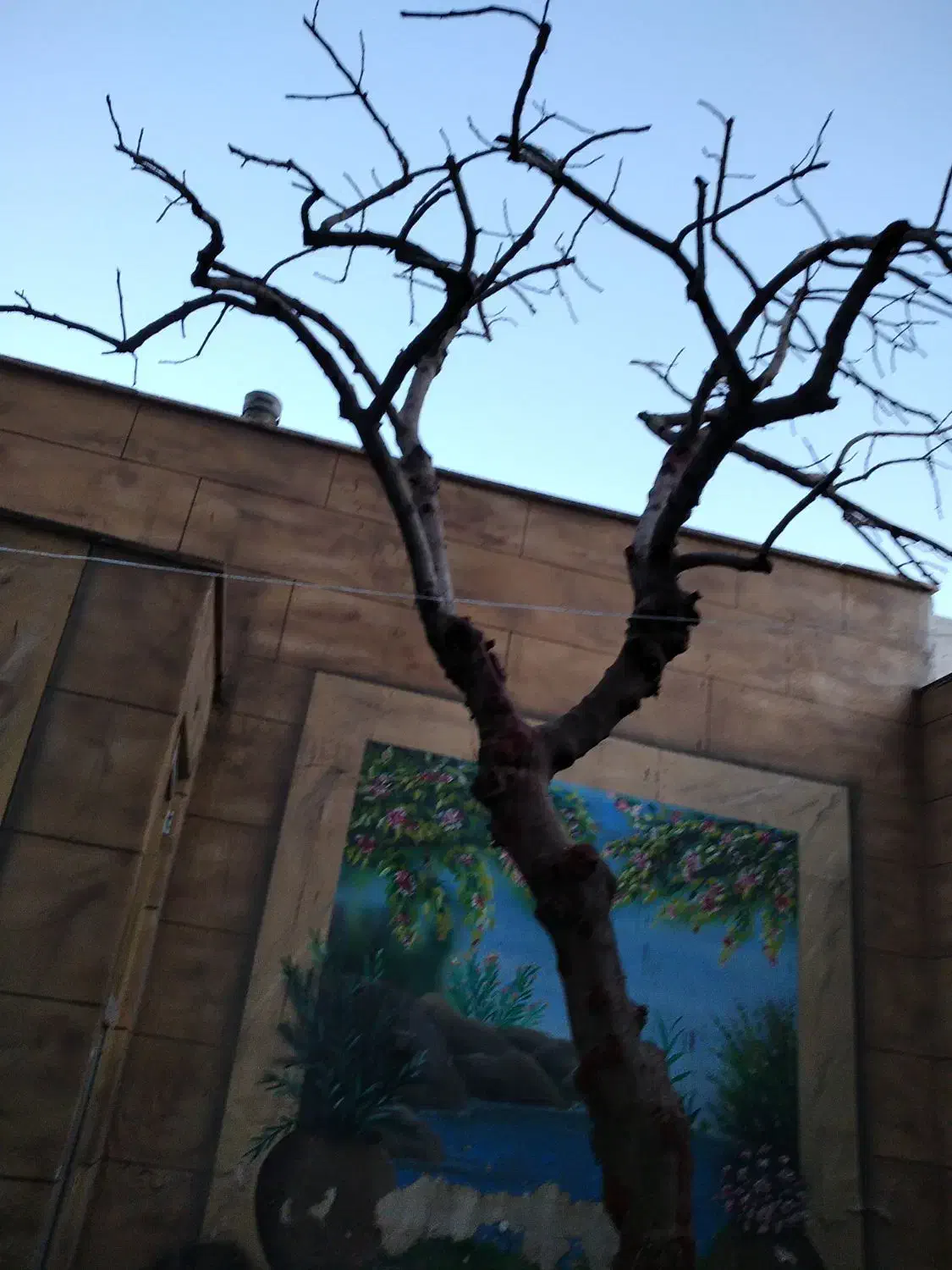 خدمات باغبانی طبیعت|خدمات باغبانی و درختکاری|قم, امامزاده ابراهیم|دیوار