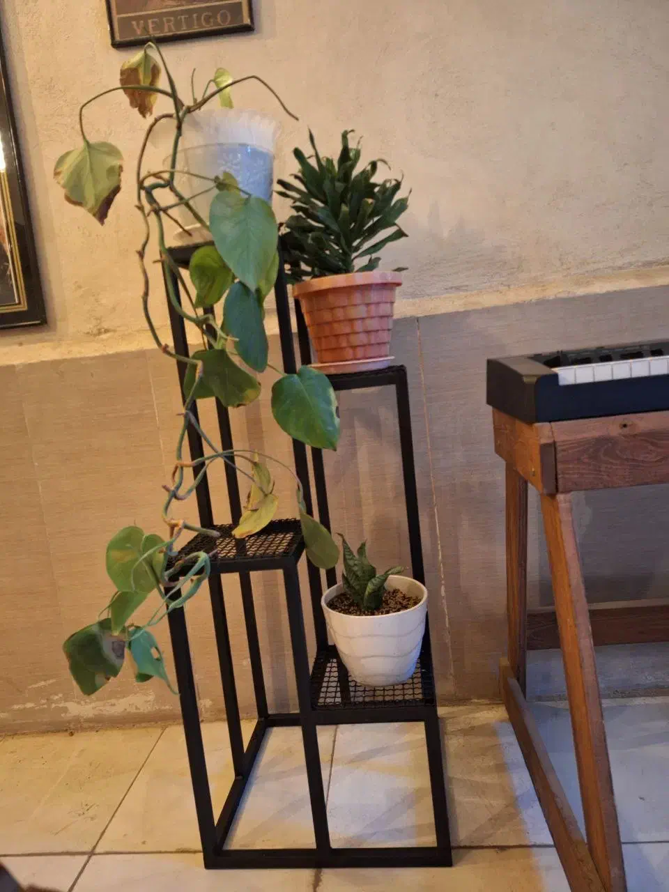 استند گلدان|صنایع دستی و سایر لوازم تزئینی|رباط‌کریم, الارد|دیوار