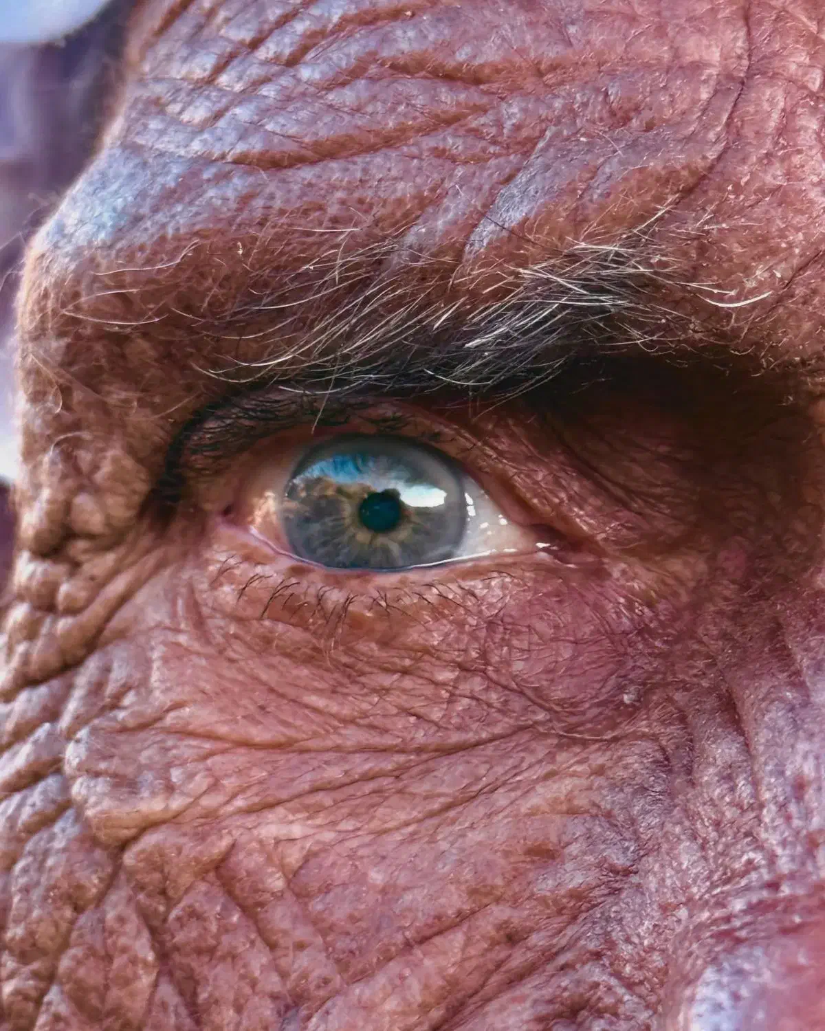 فیلمبرداری و عکاسی و تولید محتوا به صورت حرفه ای|خدمات پذیرایی، مراسم|زاهدان, |دیوار