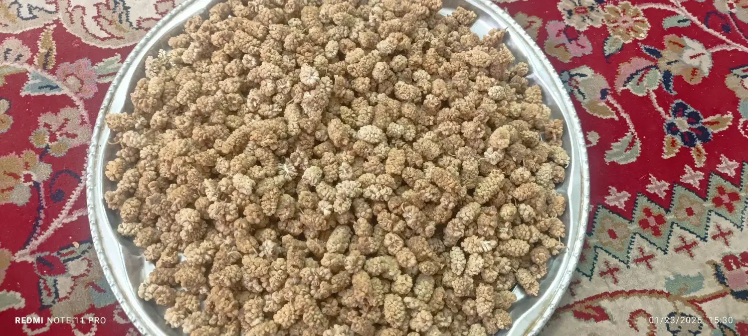 توت خشک|خوردنی و آشامیدنی|اصفهان, دانشگاه اصفهان|دیوار