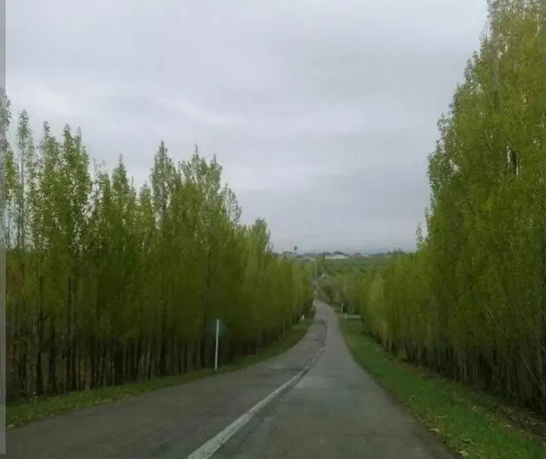 خانه ویلایی روستای ساریجالو|فروش خانه و ویلا|باغ حلی, |دیوار