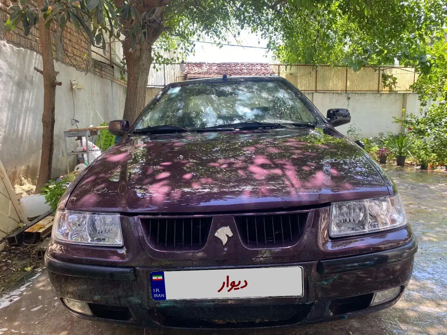 فروش فوری سمند lx مدل ۹۱|خودرو سواری و وانت|نکا, |دیوار