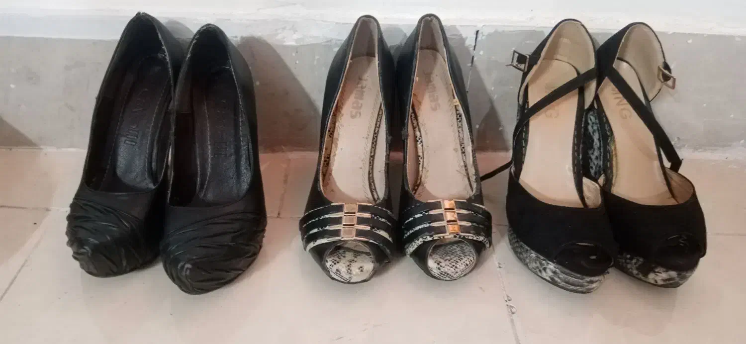 کفش مجلسی|کیف، کفش، کمربند|بجنورد, |دیوار