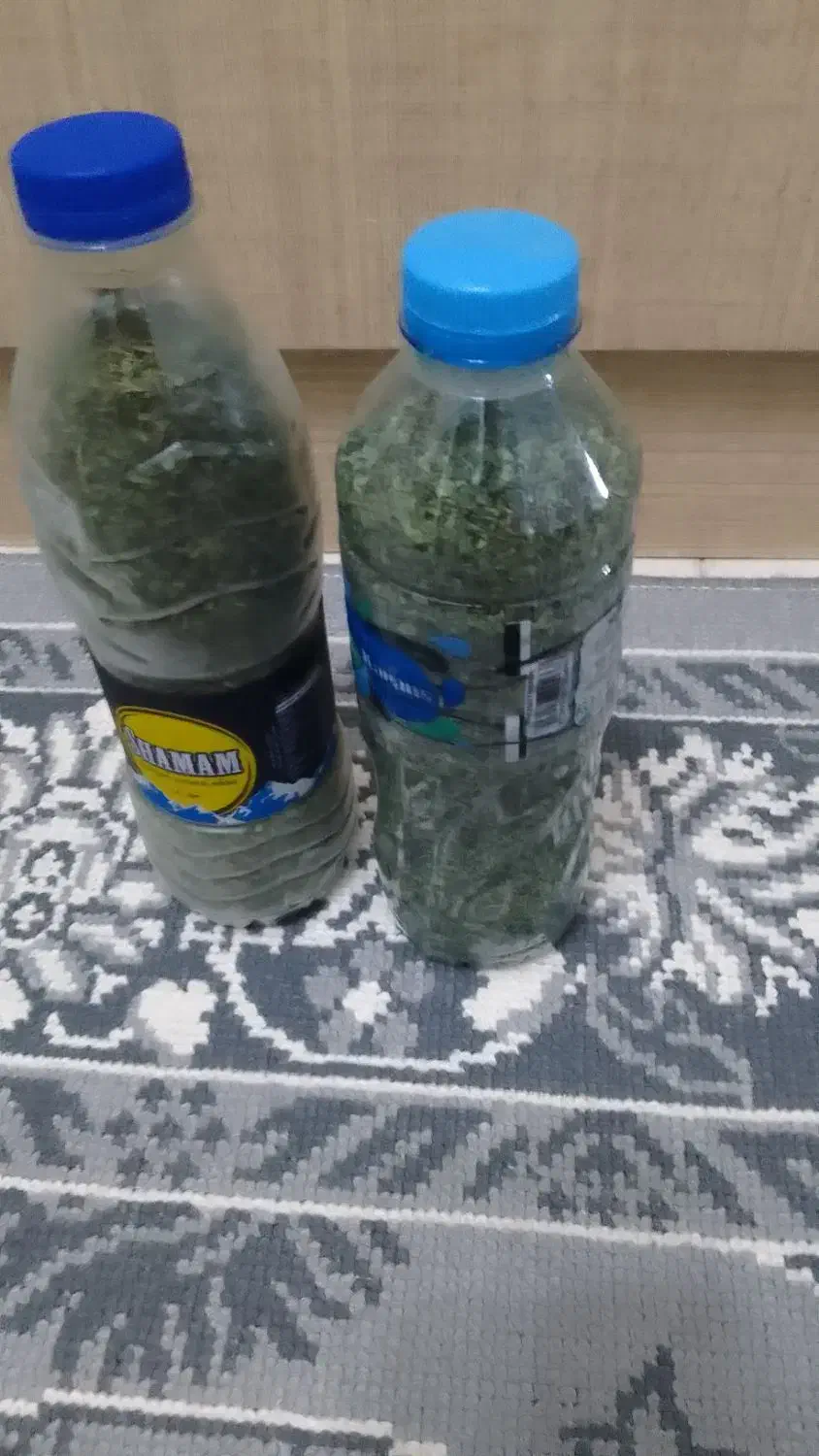 نعنا خشک شده|خوردنی و آشامیدنی|رشت, نخودچر|دیوار