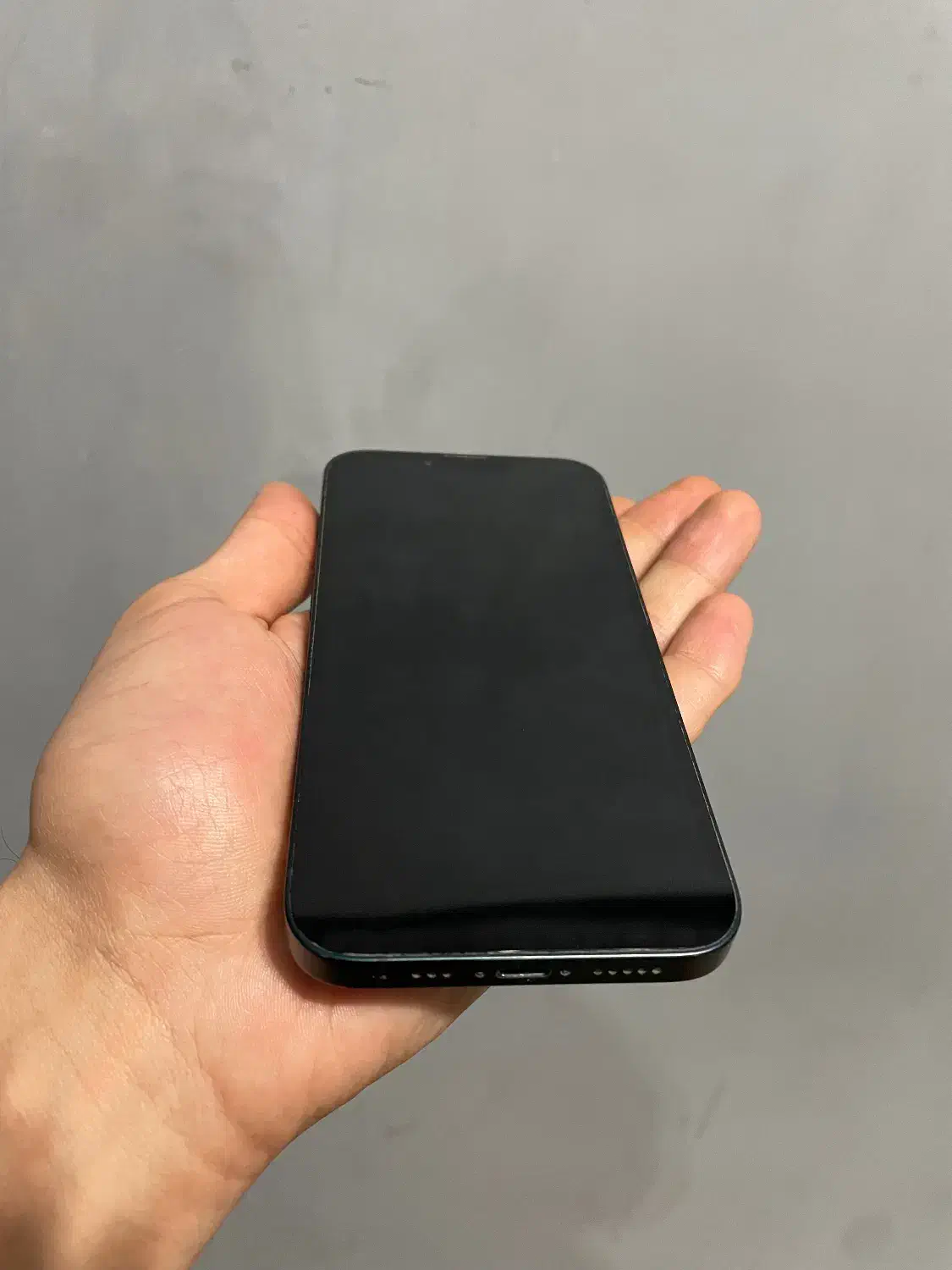 Iphone 13|موبایل|رشت, پستک|دیوار