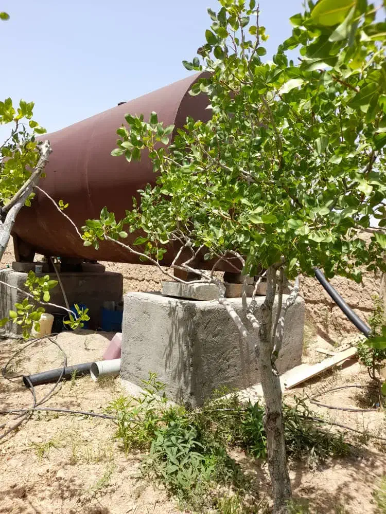 باغ پسته|فروش دفتر صنعتی، کشاورزی، تجاری|امیرآباد, |دیوار