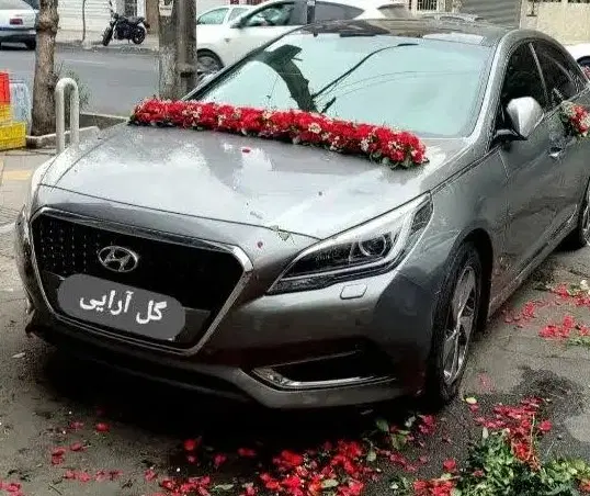 گل آرایی ماشین عروس با قیمت مناسب درب منزل شما|گل و گیاه طبیعی|تهران, نازیآباد|دیوار