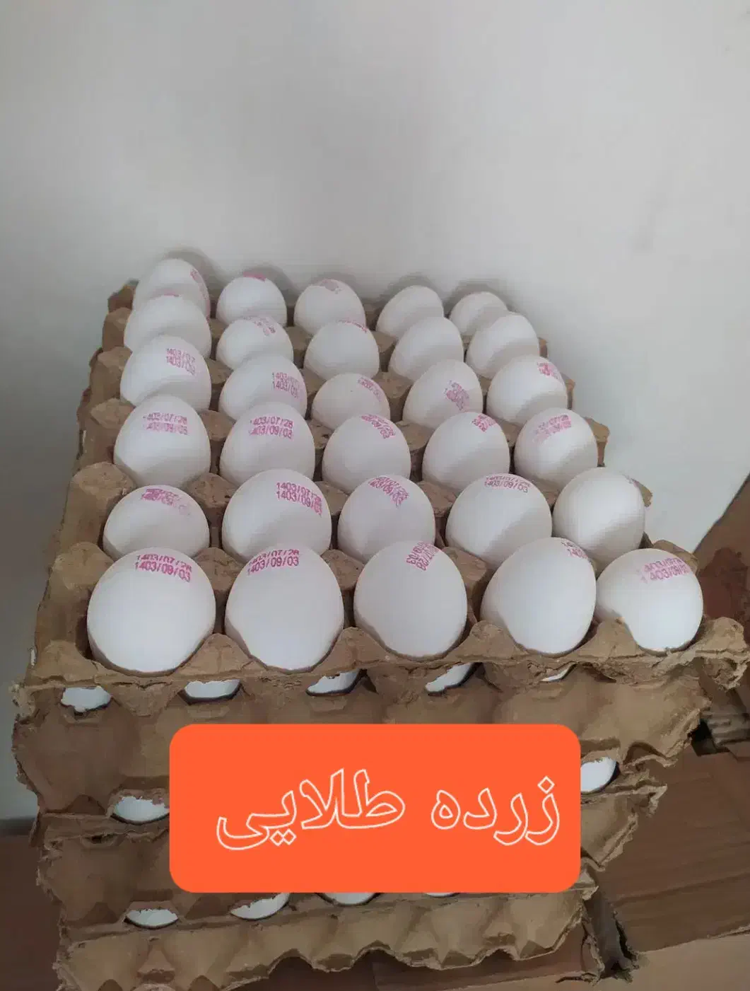 پخش تخم مرغ زرده طلایی مستقیم از مرغداری|خوردنی و آشامیدنی|رشت, کوی بیانی|دیوار