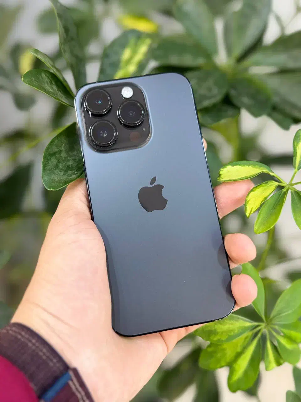 آیفون Apple 14 pro max با حافظه 256 گیگابایت|موبایل|مشهد, عامل|دیوار