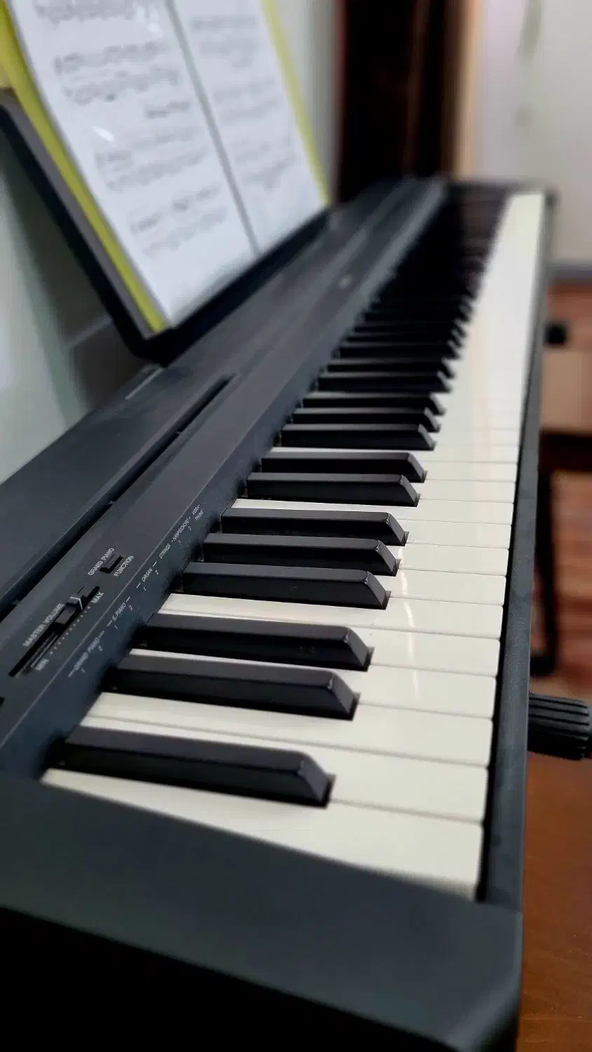 پیانو دیجیتال یاماها|پیانو، کیبورد، آکاردئون|بوشهر, |دیوار