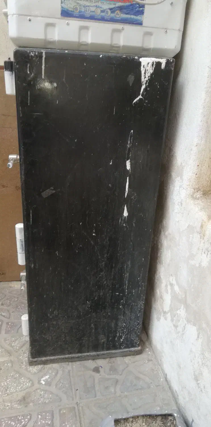 حراج|پرنده|مشهد, عبادی|دیوار