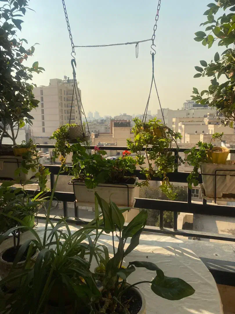 فرمانیه، ۱۴۰ متر ، برج باغ ، طبقه ۷ ، هتلینگ|اجارهٔ آپارتمان|تهران, فرمانیه|دیوار