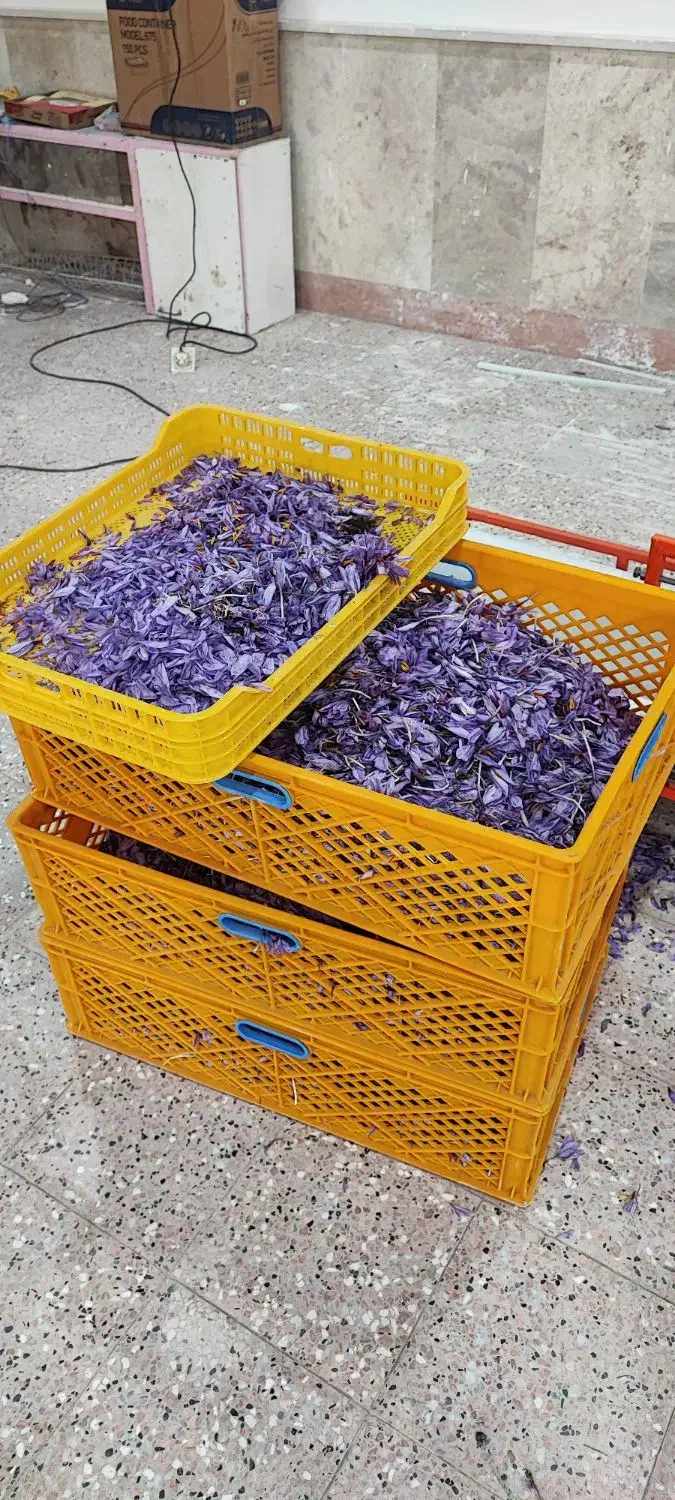 زعفران برتر قاین|حراج|مهاباد (اصفهان), |دیوار