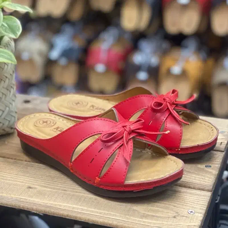 پخش عمده دمپایی|کیف، کفش، کمربند|کاشمر, |دیوار