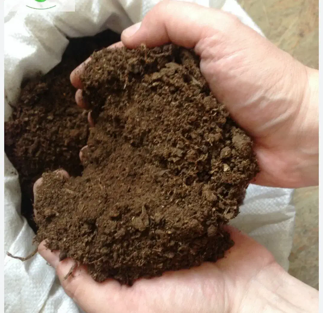 کود گوسفندی|خدمات باغبانی و درختکاری|بسطام, |دیوار