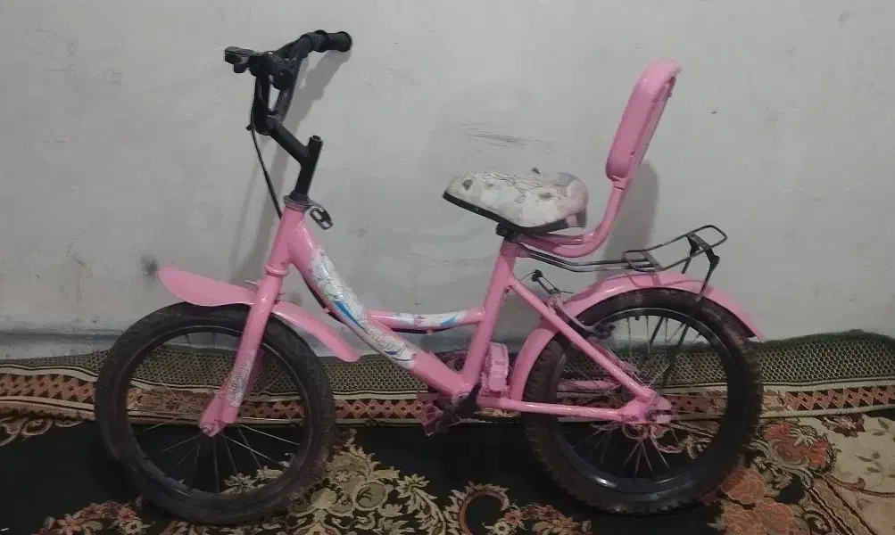 چرخ|دوچرخه، اسکیت، اسکوتر|تربت جام, میان جام|دیوار