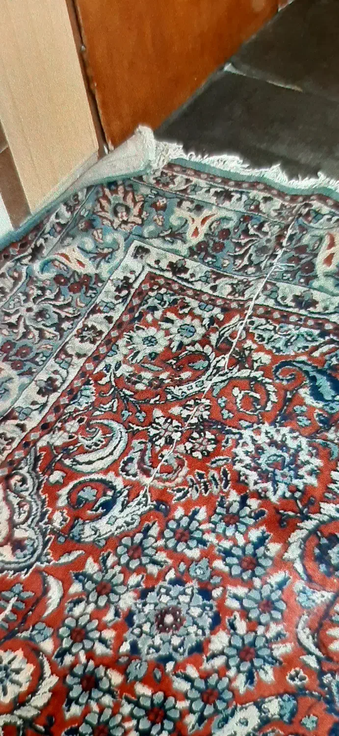 فرش ماشینی|فرش|اصفهان, کوجان|دیوار