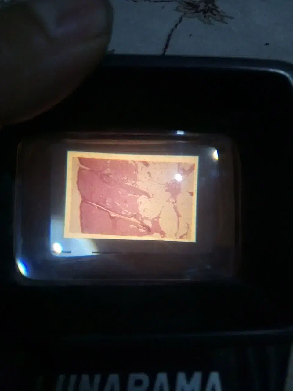 دوعدد پرژکتور اسلاید|تلویزیون و پروژکتور|بلده, |دیوار