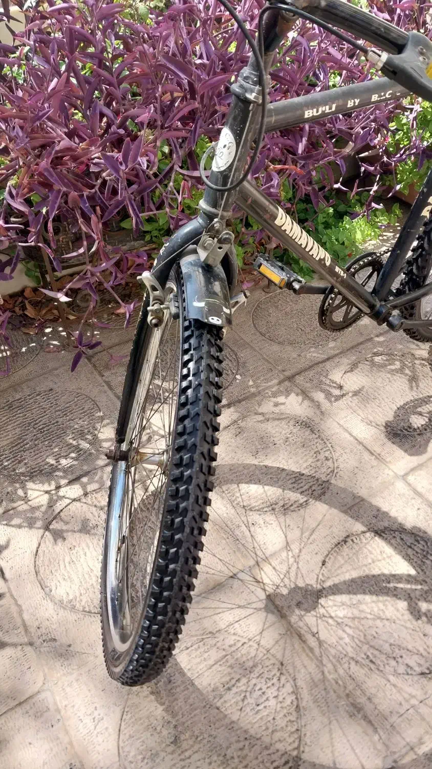 دوچرخه damavand تمیز|دوچرخه، اسکیت، اسکوتر|تهران, میرداماد|دیوار