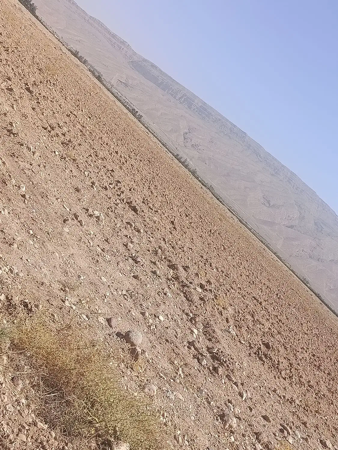 فروش زمین|فروش دفتر صنعتی، کشاورزی، تجاری|فسا, |دیوار