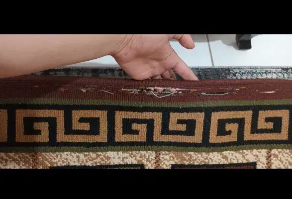 قالیچه|گلیم، جاجیم، گبه|قدس, شهرقدس|دیوار