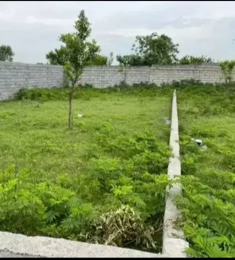 ۱۵۰ مترزمین/ بافت مسکونی /روستایی|فروش زمین و ملک کلنگی|دابودشت, |دیوار