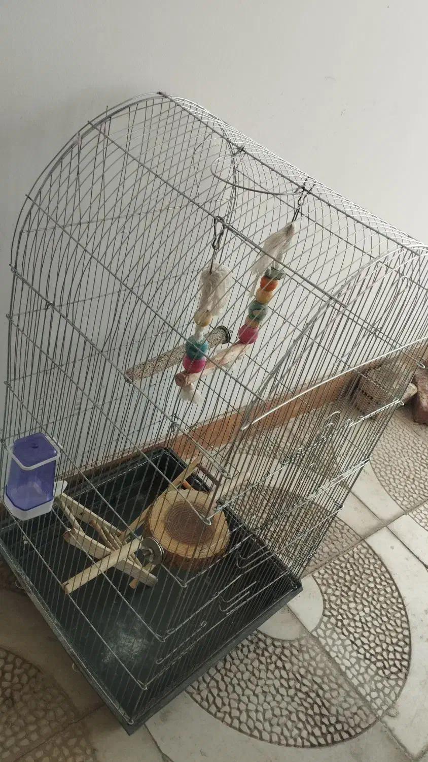 قفس کاسکویی|لوازم جانبی حیوانات|سبزوار, توحیدشهر|دیوار