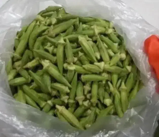 بذر بامیه شرط درجه یک از باغم|گل و گیاه طبیعی|شادگان, |دیوار