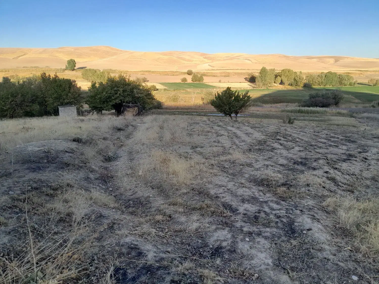 یک هکتارو نیم زمین آبی|فروش زمین و ملک کلنگی|دیواندره, |دیوار