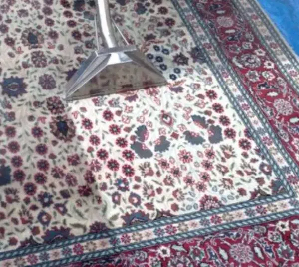 فرش شویی در محل|خدمات نظافت|بندر امام خمینی, |دیوار