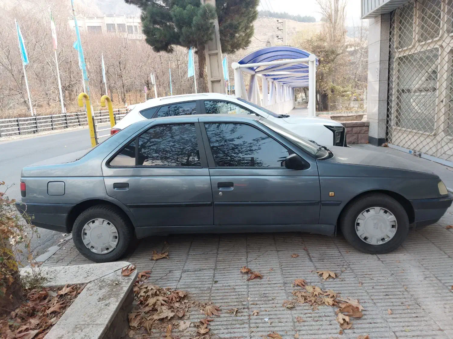 پرو ۴۰۵ مدل ۹۶|خودرو سواری و وانت|فشم, |دیوار