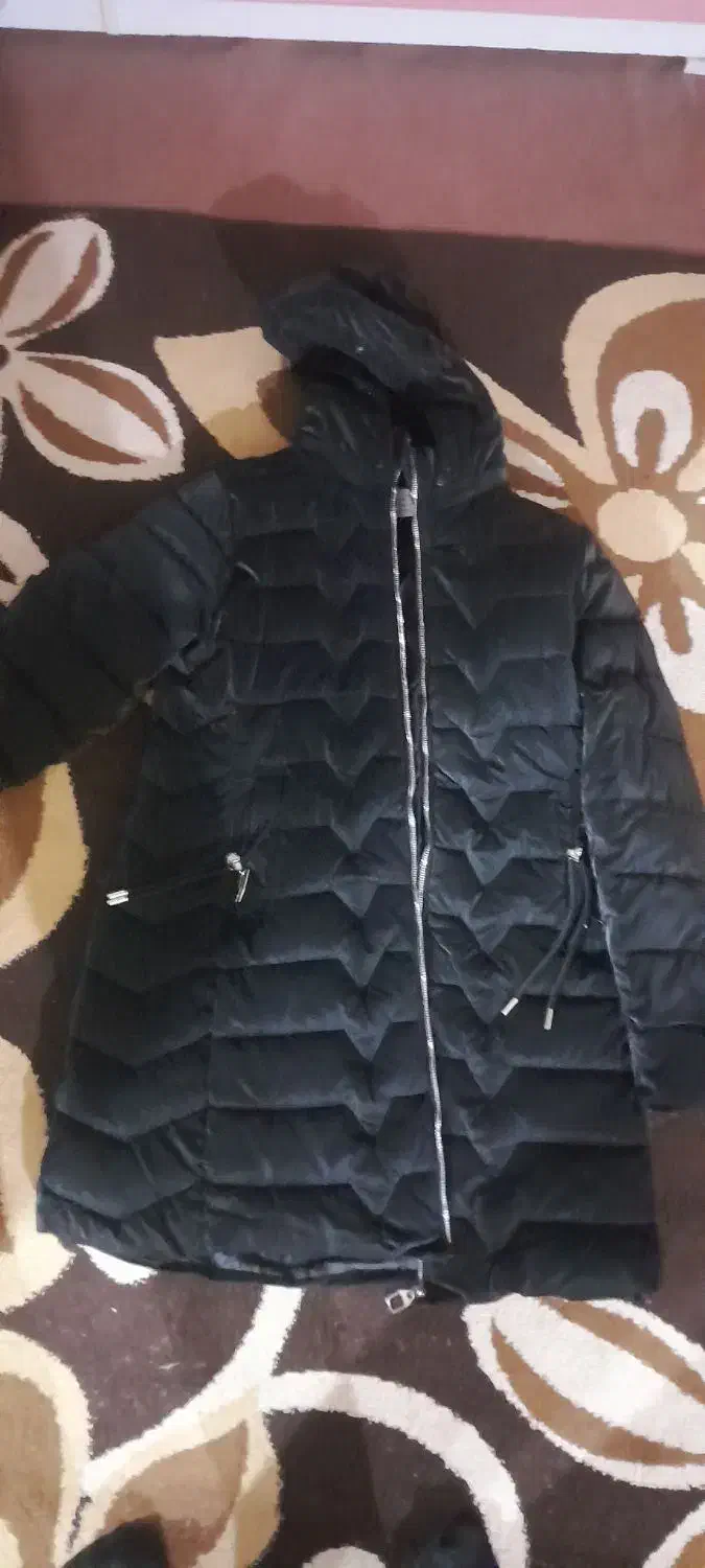 کاپشن سیاه|لباس|اردبیل, |دیوار