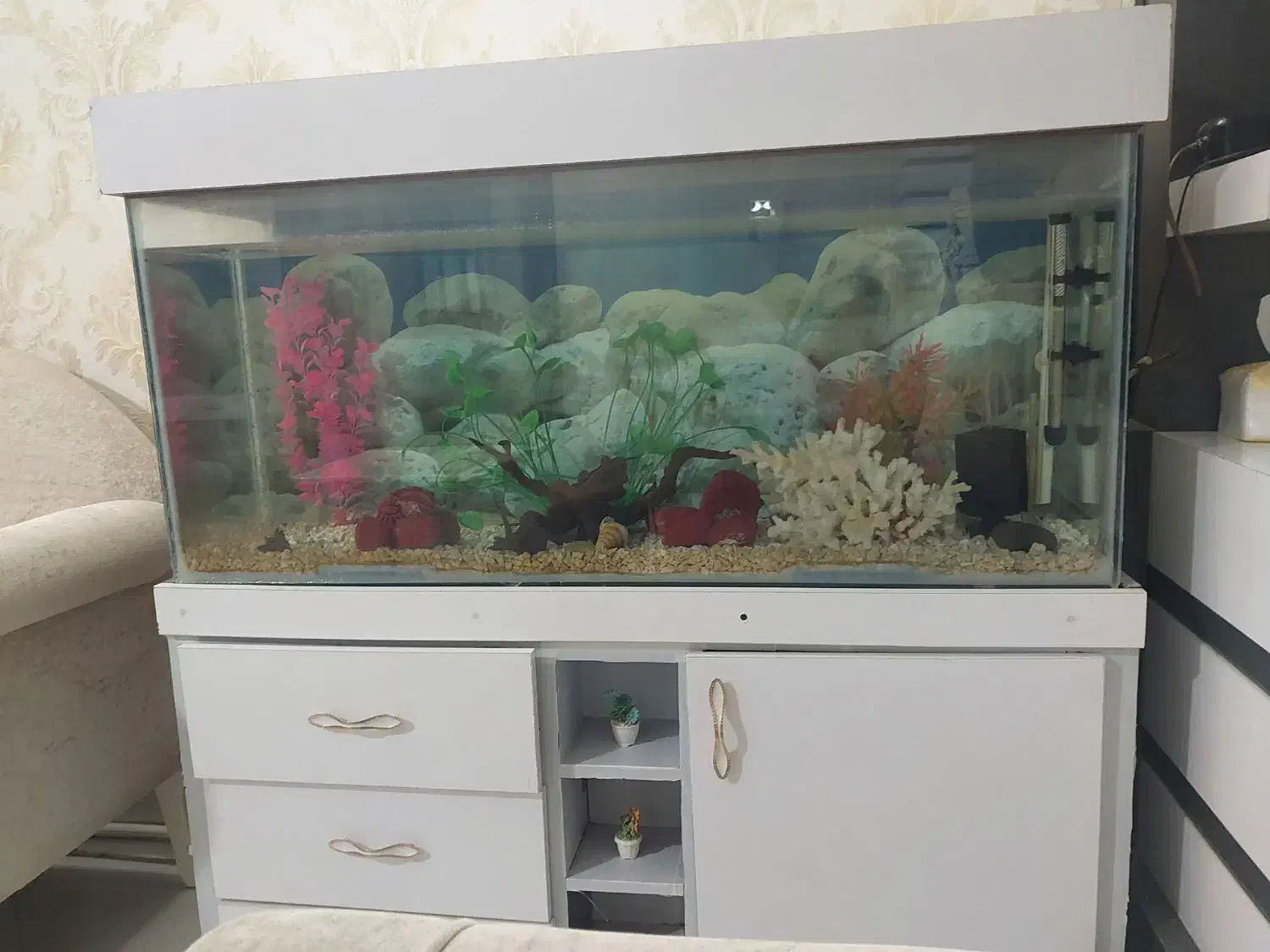 آگواریوم ۱۲۰ در ۷۰|ماهی|مشهد, انقلاب|دیوار