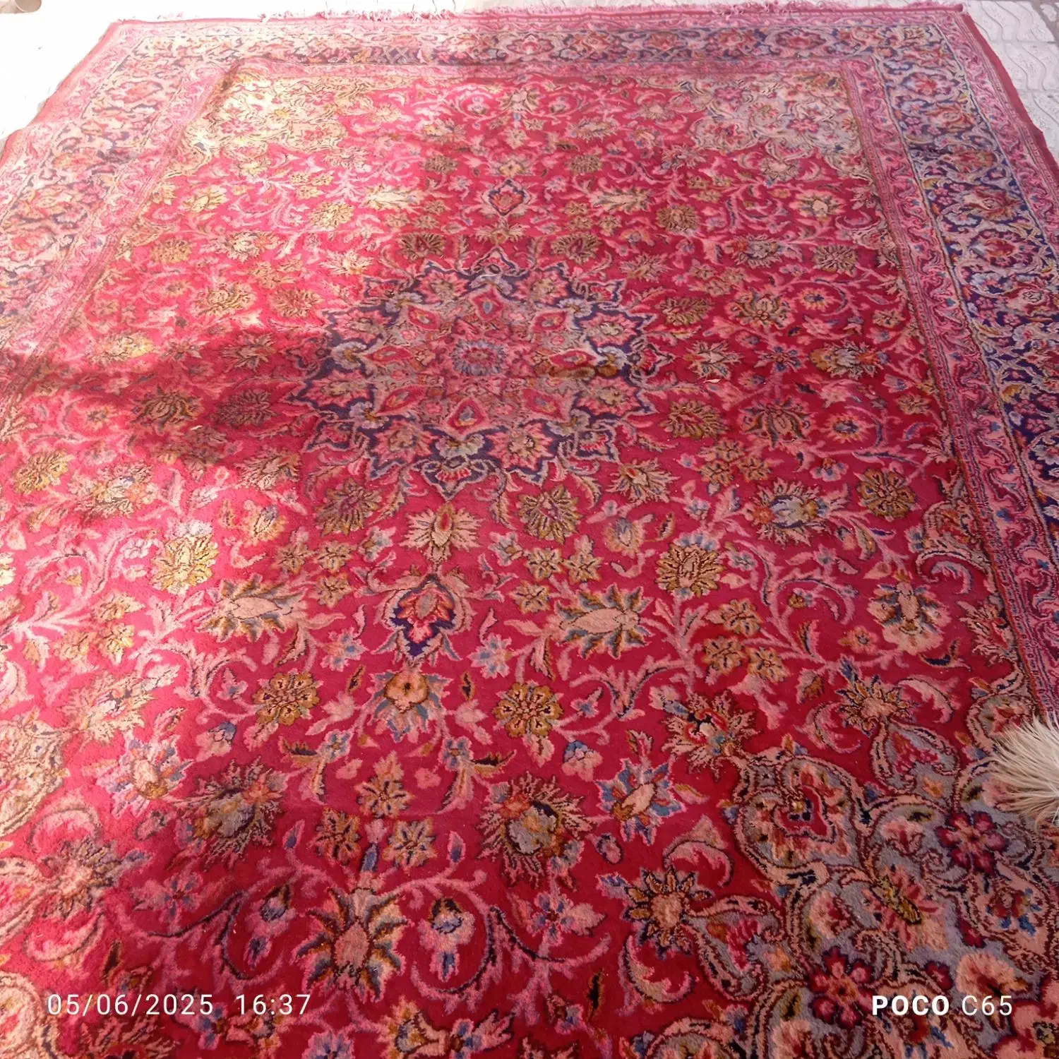 یک قالی دست باف 3/4فوقلاده سالم فروخته میشود|فرش|بم, |دیوار