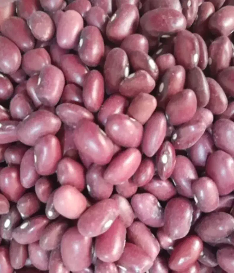 لوبیا قرمز|خوردنی و آشامیدنی|شیراز, جوادیه|دیوار