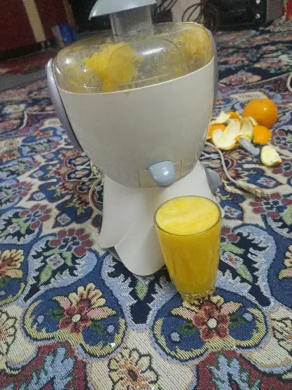 آب میوه گیری|آبمیوه‌گیر و آب‌مرکبات‌گیر|قرق, |دیوار