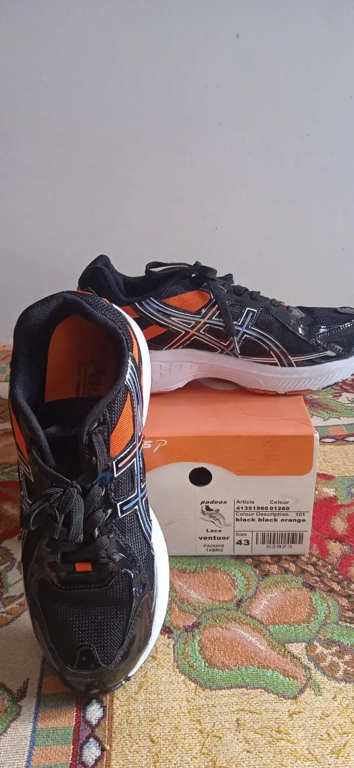 کفش کتانی خارجی|کیف، کفش، کمربند|اسفراین, |دیوار