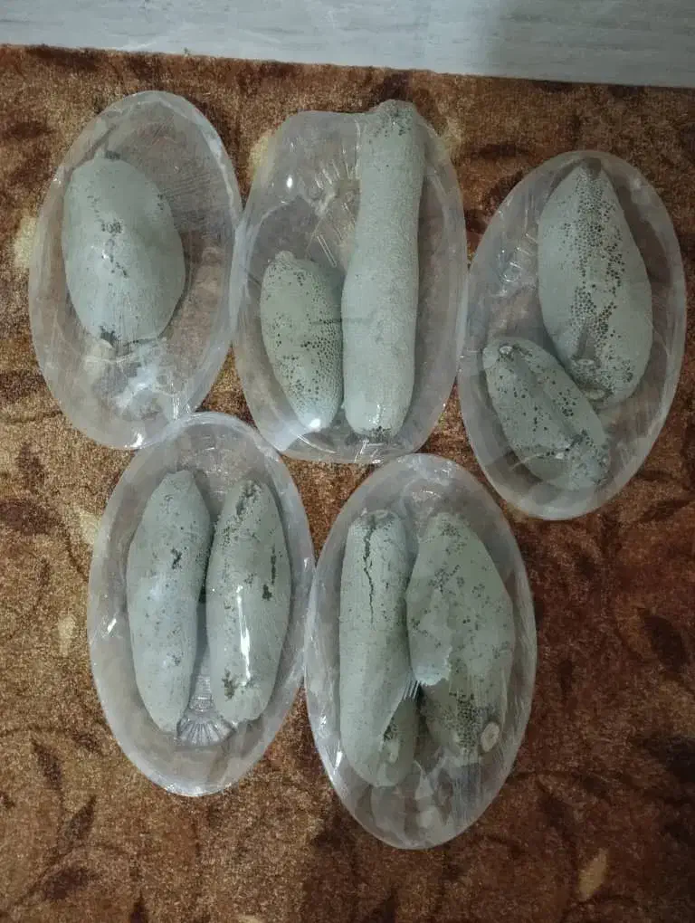 عسل|خوردنی و آشامیدنی|گله دار, |دیوار