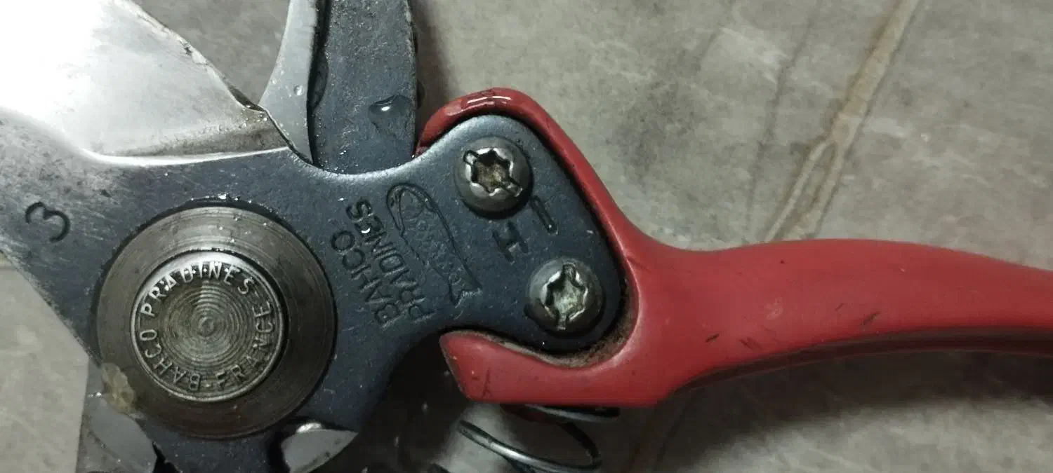 فرا.نسه|اسباب‌‌بازی|مراغه, |دیوار