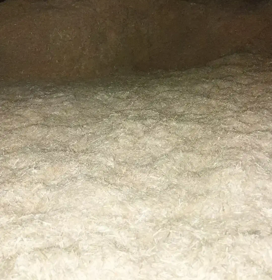 کاه دیم|لوازم جانبی حیوانات|فیروزآباد (لرستان), |دیوار