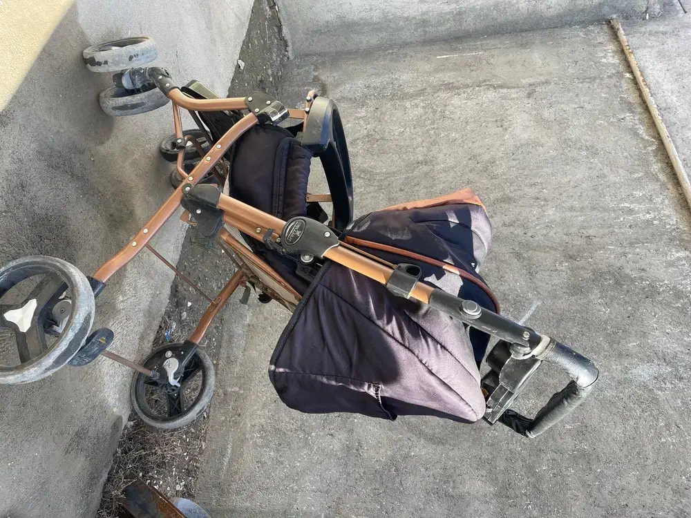 کالسکه|کالسکه و لوازم جانبی|مشهد, سازمان آب|دیوار