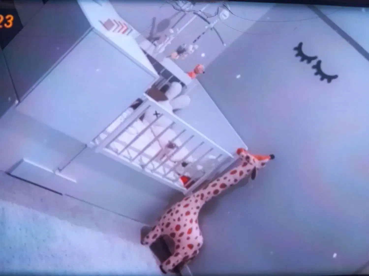 تخت خواب دو منظوره کودک و نوجوان در حد نو|تخت و سرویس خواب|دزفول, |دیوار