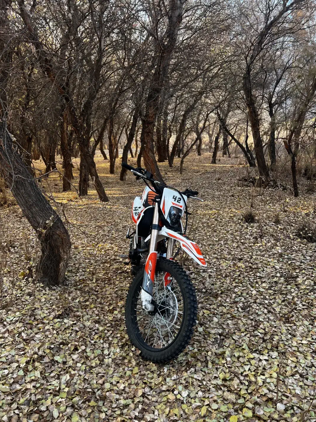 Crx350|موتورسیکلت|جلفا, |دیوار