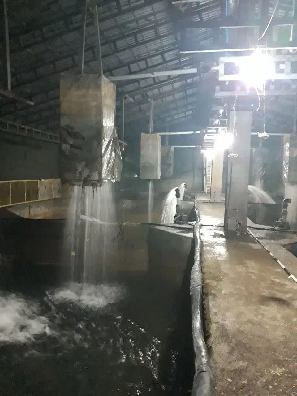 سرایدار پرورش ماهی|استخدام سرایداری و نظافت|عباس‌آباد, |دیوار