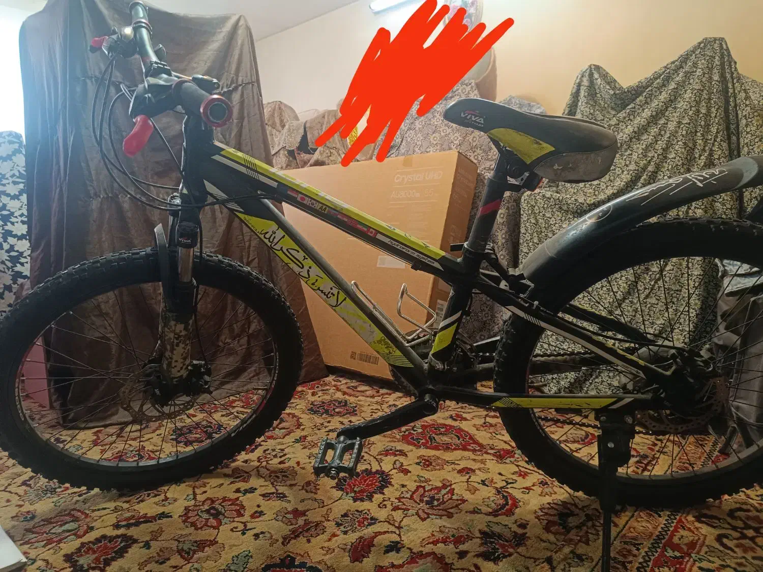 دوچرخه ۲۴ ویوا|دوچرخه، اسکیت، اسکوتر|تبریز, |دیوار