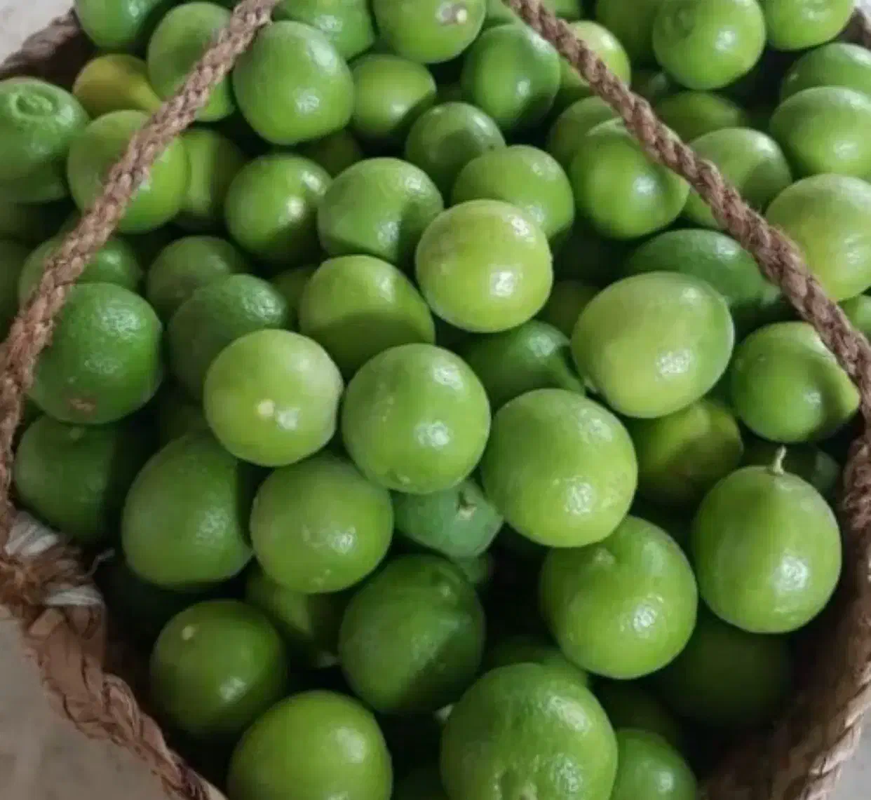 عسل و آبلیموترکیب طلایی برای روزهای پرانرژی|خوردنی و آشامیدنی|تهران, بلوار کشاورز|دیوار